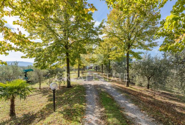 Podere Toscano 9