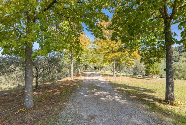 Podere Toscano 8