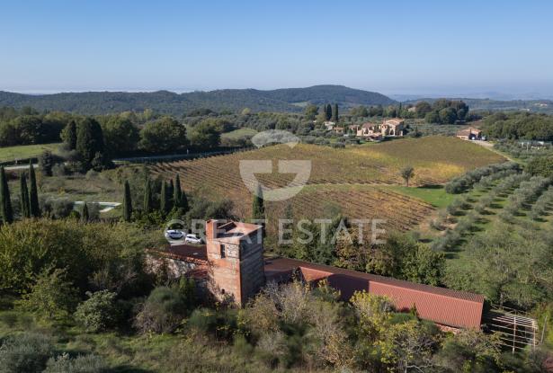 Podere Albedo 13 Podere Albedo 13