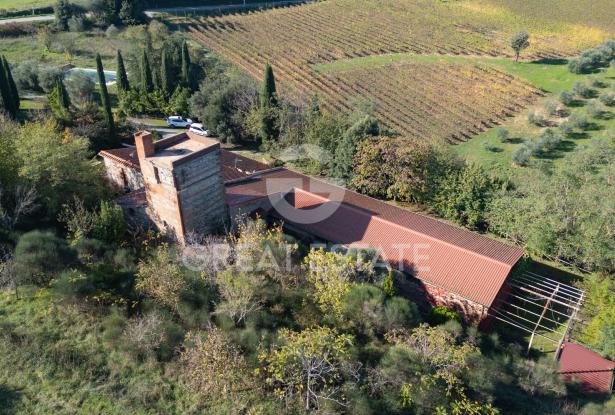 Podere Albedo 3 Podere Albedo 3