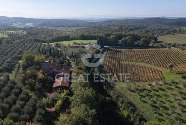 Podere Albedo 9 Podere Albedo 9