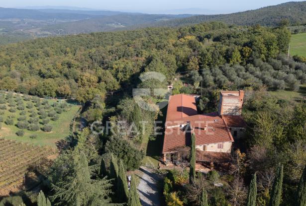 Podere Albedo 6 Podere Albedo 6