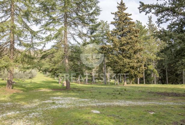 La Montana di Rota secca 8 La Montana di Rota secca 8
