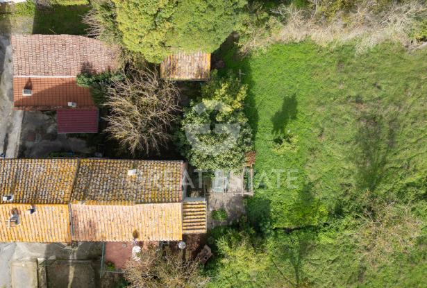 Il Casale Olistico 14 Il Casale Olistico 14