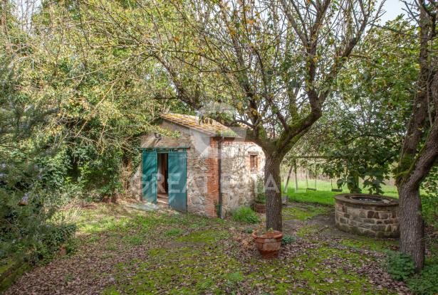 Il Casale Olistico 11 Il Casale Olistico 11