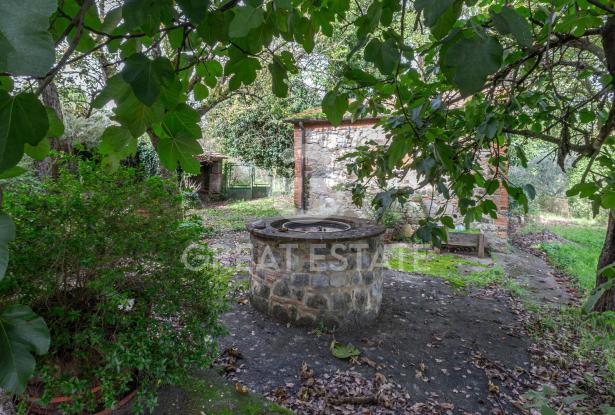 Il Casale Olistico 5 Il Casale Olistico 5