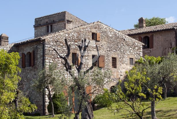 Il Casale della Regia 7 Il Casale della Regia 7