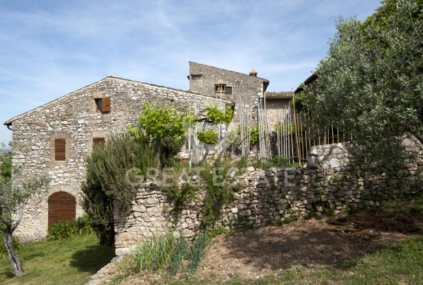 Il Casale della Regia 8 Il Casale della Regia 8