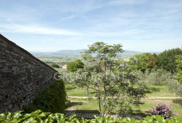 Il Casale della Regia 12 Il Casale della Regia 12