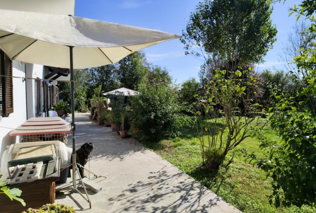 Restored Country House with Large Garden on the Edge of the Village /SMR001 Restored Country House with Large Garden on the Edge of the Village /SMR001