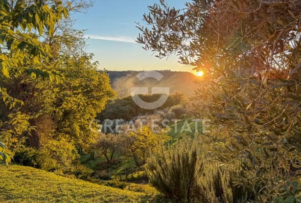 Casale Orvieto Views 4 Casale Orvieto Views 4
