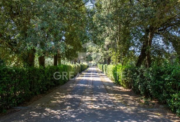 Villa il Parco Secolare 11 Villa il Parco Secolare 11