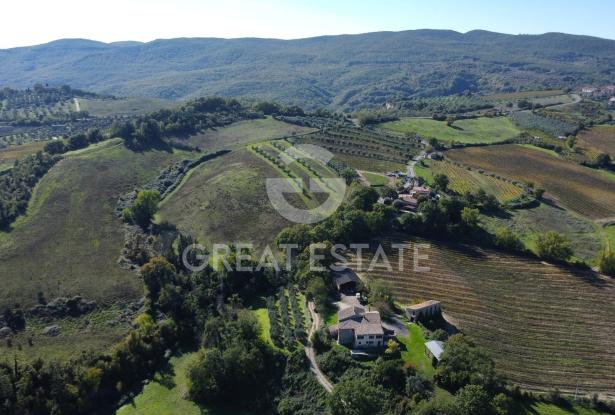 Tenuta Agricola Colle degli Etruschi 1 Tenuta Agricola Colle degli Etruschi 1