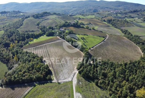 Tenuta Agricola Colle degli Etruschi 6 Tenuta Agricola Colle degli Etruschi 6