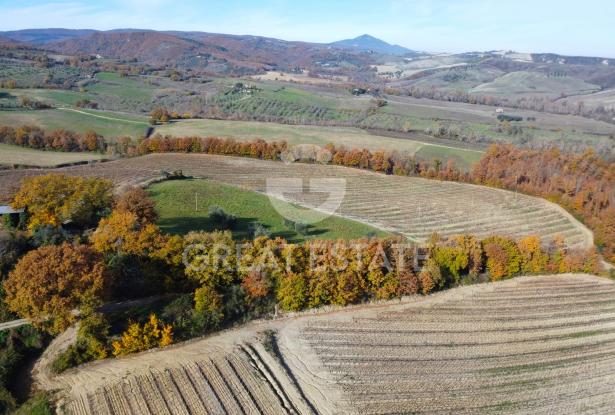 Tenuta Agricola Colle degli Etruschi 7 Tenuta Agricola Colle degli Etruschi 7