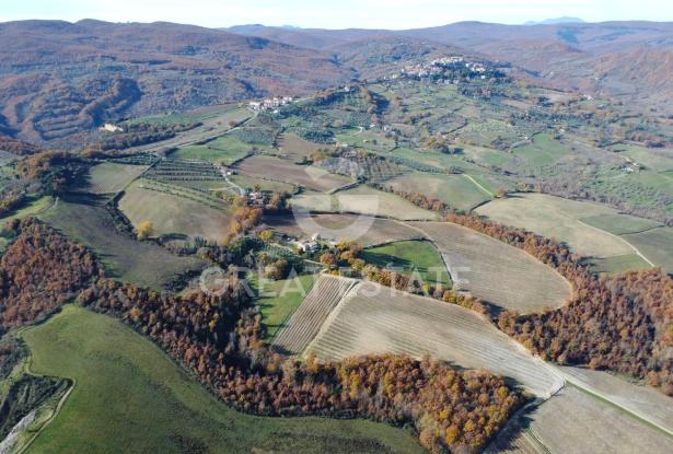 Tenuta Agricola Colle degli Etruschi 8 Tenuta Agricola Colle degli Etruschi 8