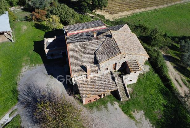 Tenuta Agricola Colle degli Etruschi 5 Tenuta Agricola Colle degli Etruschi 5