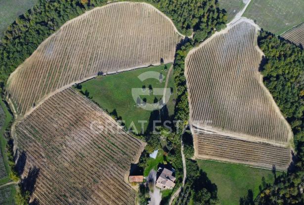 Tenuta Agricola Colle degli Etruschi 9 Tenuta Agricola Colle degli Etruschi 9