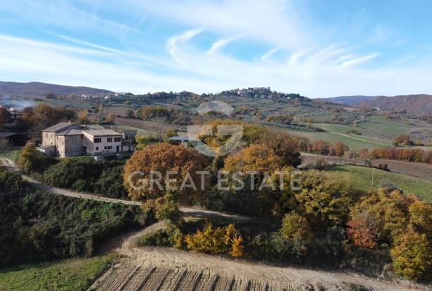 Tenuta Agricola Colle degli Etruschi 10 Tenuta Agricola Colle degli Etruschi 10