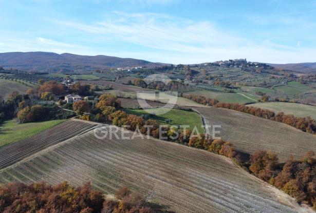 Tenuta Agricola Colle degli Etruschi 11 Tenuta Agricola Colle degli Etruschi 11
