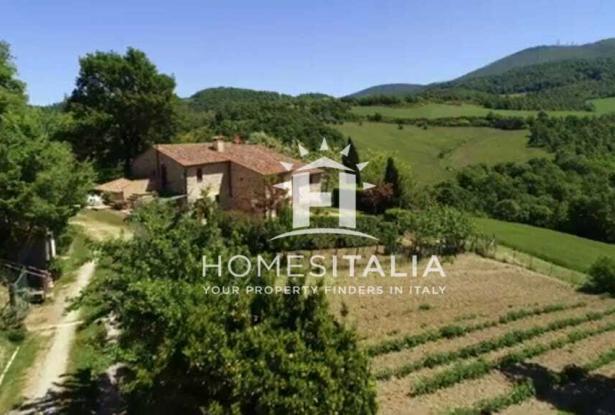 Authentic Tuscan farmhouse with pool, garden & panoramic views 20
