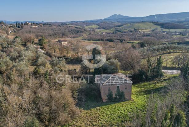 POGGIO PINETTO 3 POGGIO PINETTO 3