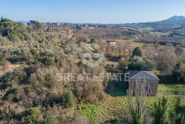 POGGIO PINETTO 2 POGGIO PINETTO 2