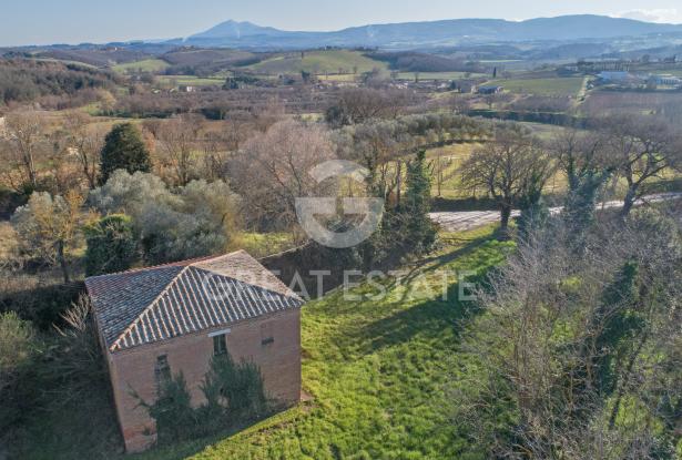 POGGIO PINETTO 1 POGGIO PINETTO 1