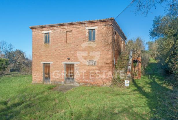 POGGIO PINETTO 5 POGGIO PINETTO 5