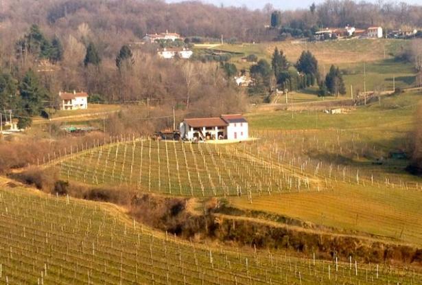 Asolo wine farm producing awarded 'Prosecco' ref.33a 0