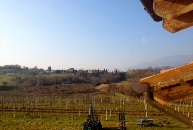 Asolo wine farm producing awarded 'Prosecco' ref.33a 4