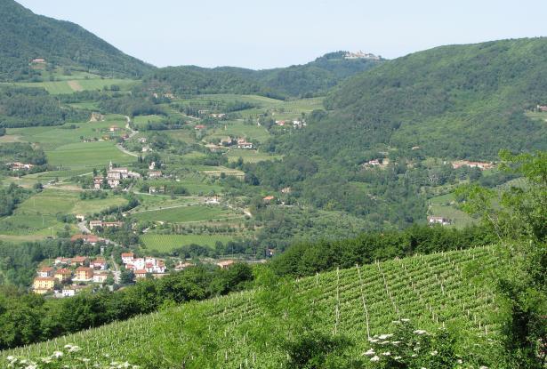 Euganean Hills, Faedo, Veneto region, semi-detached house - ref 07 15