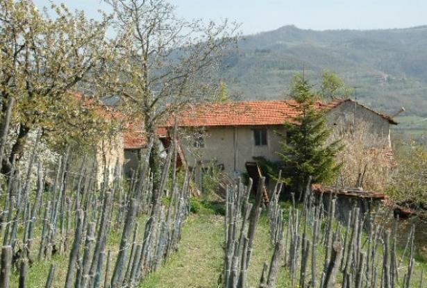 Original rustic farmhouse in beautiful panoramic and sunny position - Piedmont- Langhe 1