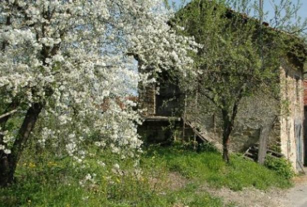 Original rustic farmhouse in beautiful panoramic and sunny position - Piedmont- Langhe 8