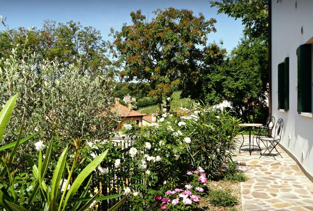 terrace