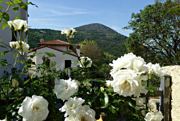 View from terrace
