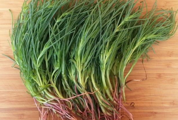 agretti