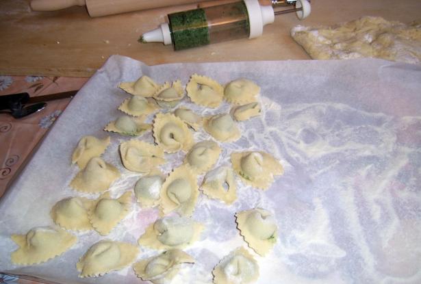 Freshly made Pansotti Freshly made Pansotti