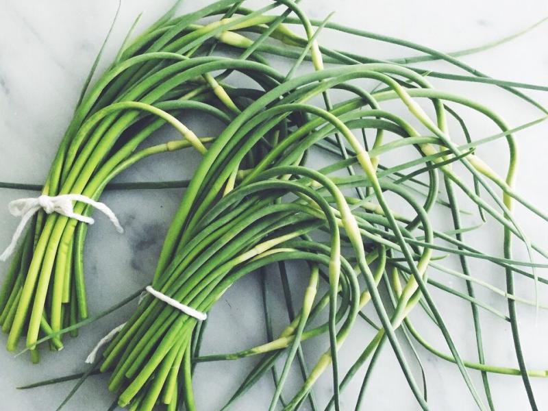 garlic scapes 