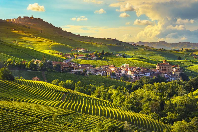 Langhe Piedmont Italy Hilly landscape with vineyards in the Langhe Piedmont Italy