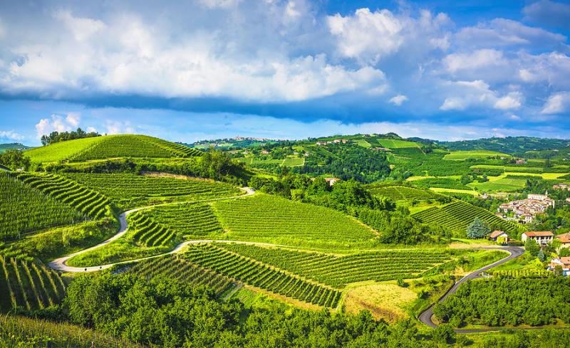 Vineyards and hills of Langhe Italy