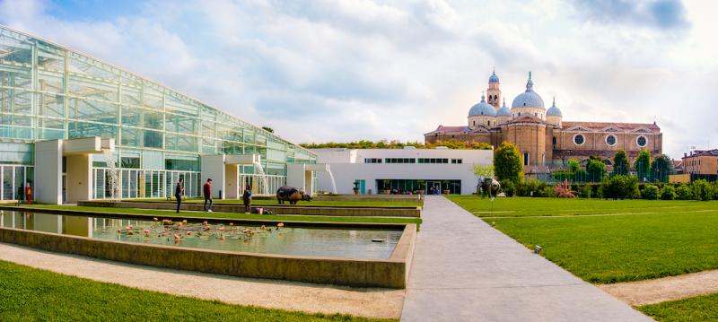 Orto Botanical Garden of Padua Unesco Heritage Site in Italy and the Santa Giustina cathedral in background 