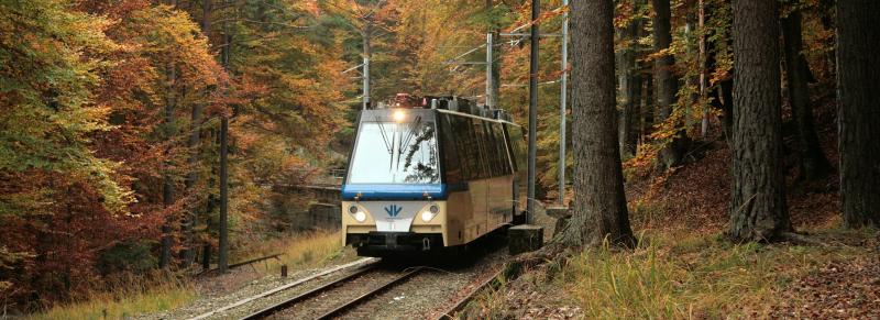 The Foliage Train riding amid fall colors and woods