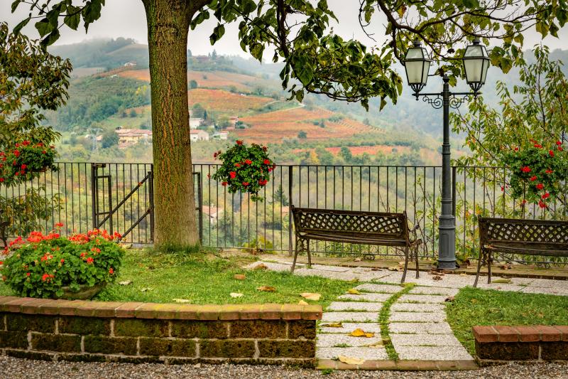 view of barolo vineyards in piedmont