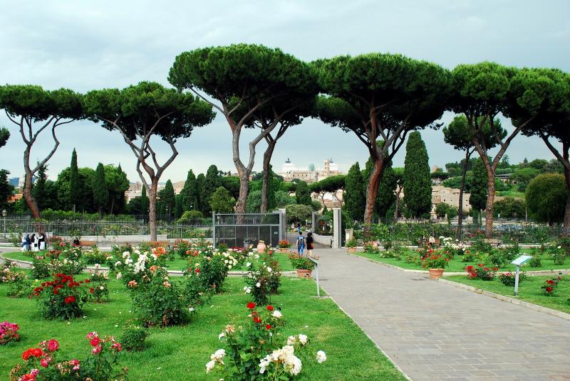 Rome's rose garden, Il Roseto