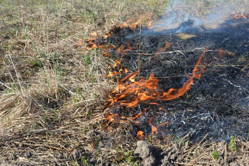 Dry grass burns in southern Italy