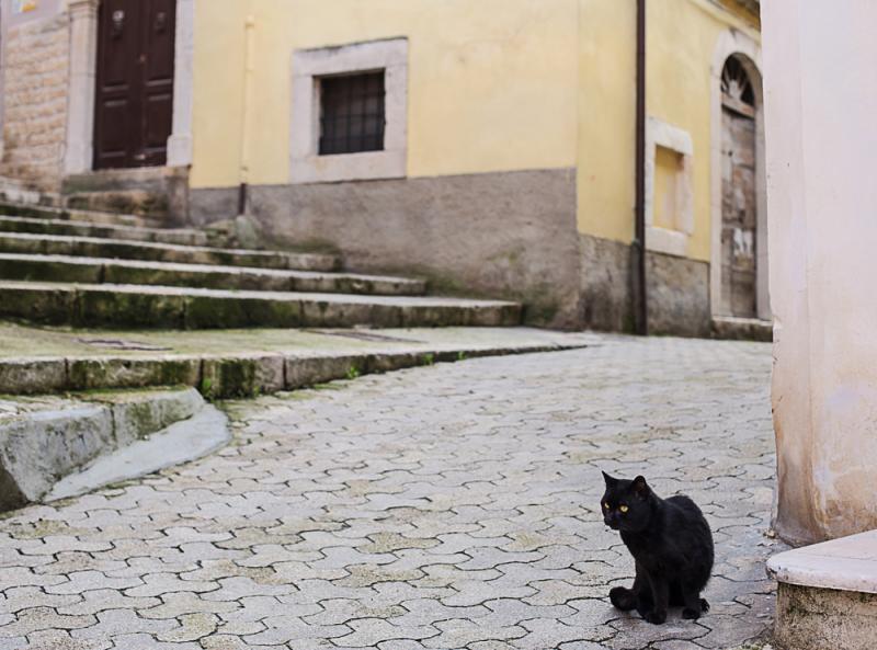 black cat in italy