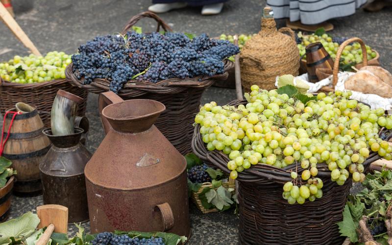 Autumn Wine Festivals in Tuscany 2019