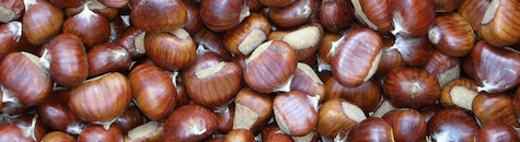 chestnut