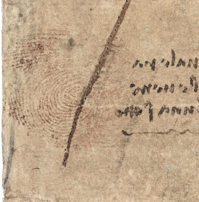 Leonardo's thumbprint on drawing from Royal Collection